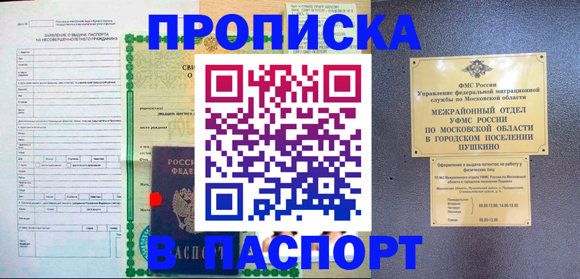 временная регистрация госуслуги в Луге